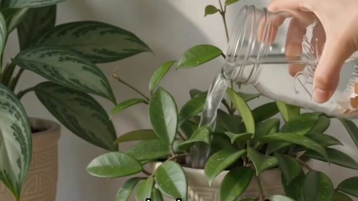 Home gardening