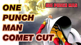 Sensei Stopping The Comet Cut | One Punch Man