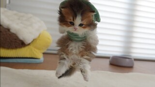 Let's count how many times her phone completely ran out of battery and shut down!