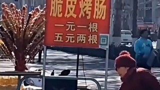 看见人间百态