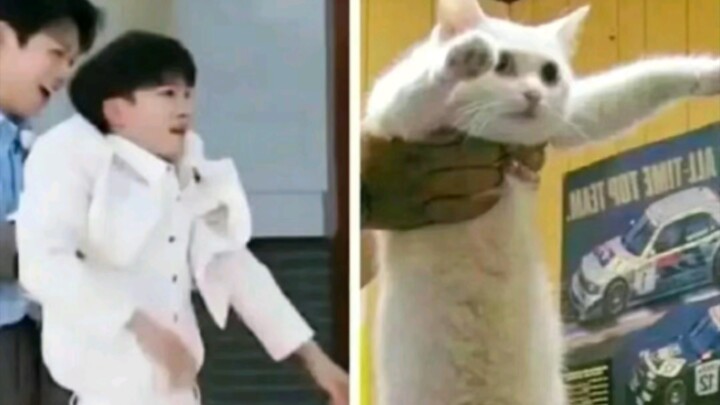 【Châu Thâm】Một chàng trai sống trong hàng nghìn meme biểu cảm (Loạt cười không nhặt được mồm)