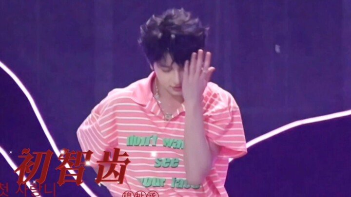 【مو تشي تشينغ】الزاوية الأكثر دقة على الإنترنت لـ «الأضراس الأولى»: العضو المنشغل المختار من قبل الآل