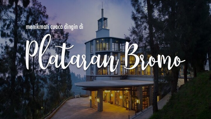 menikmati Cuaca dingin di Plataran Bromo ( Cinematic Travel Video )