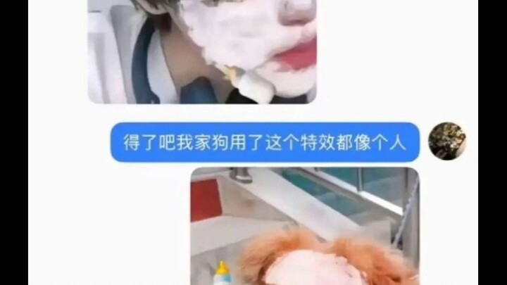 Come on, even my dog looks halfway decent with this effect! Funny Clip 045