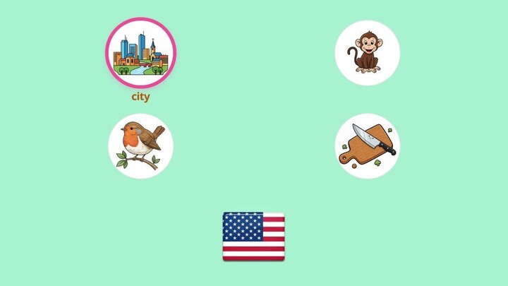 Learn 4 Essential English Object Vocabulary: City, Monkey, Bird, Cutting Board