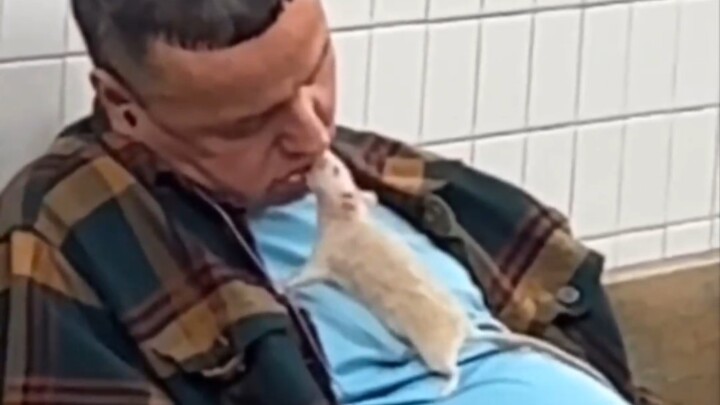 "Remember, Florida doesn’t keep anyone idle."