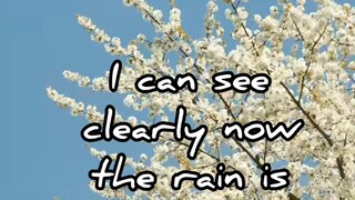 I can see clearly now -cover