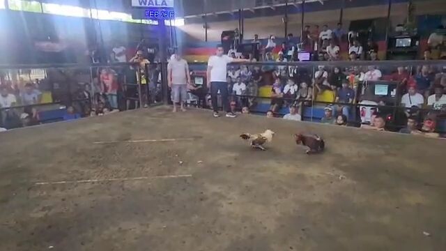 banay banay