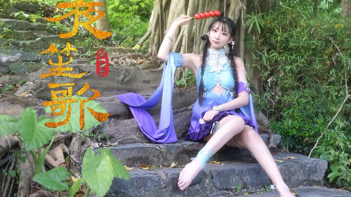 【Zifei】Night Song ♪ Let this song tell my dreams 【Want to dance a mountain song with me?】