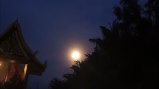 ฟังเพลง