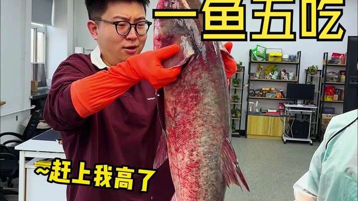 一鱼五吃，成功解锁全鱼宴！