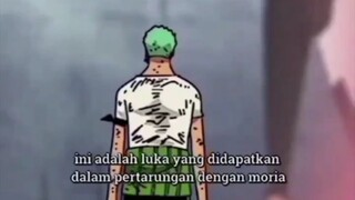 HANYA ZORO YANG PERNAH MERASAKAN PENDERITAAN LUFFY 🥺