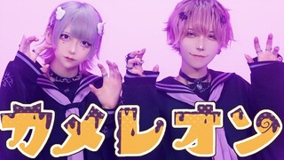 【いぶき・はやて】カメレオン/变色龙