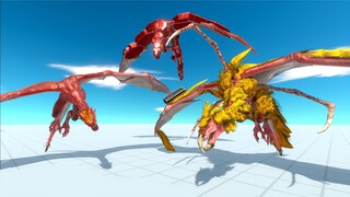 EVOLUTION OF WYVERN