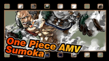 [One Piece AMV / Sumōkā]Pirates, Don't Look Down on Navy!!