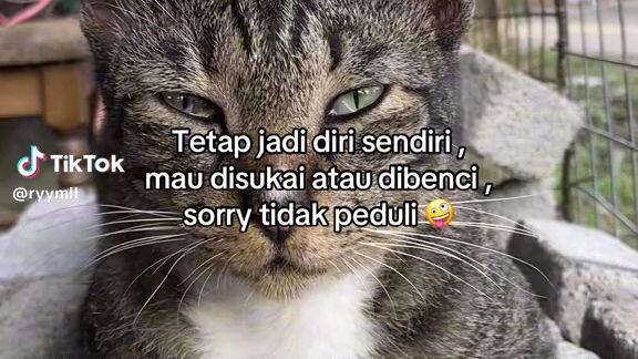 kata kata hari ini