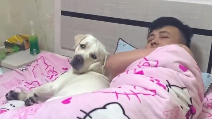 Anjing: Susah sekali untuk bisa tidur!