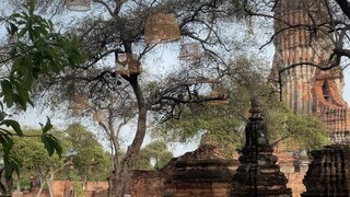 เมืองเก่า
