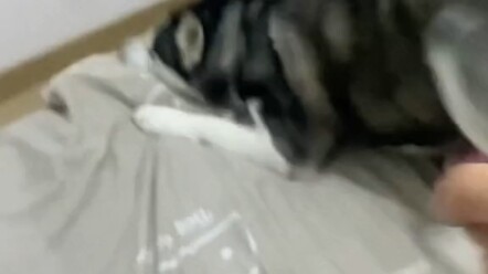 ต้องยอมรับว่าจังหวะสุดท้ายของเขาเนียนสุดๆ เลย