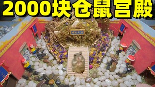 ฉันใช้เงิน 2,000 หยวนสร้างวังใต้ดินให้หนูแฮมสเตอร์ของฉัน ซึ่งมีประตู 6 บาน!