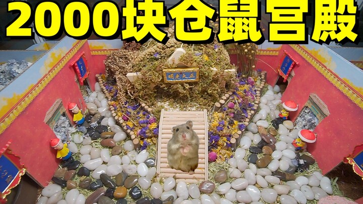 Saya menghabiskan 2.000 yuan untuk membangun istana bawah tanah untuk hamster saya, yang memiliki en