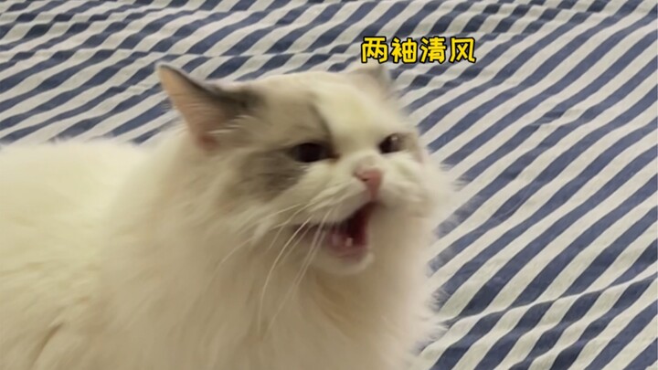 Doanh nhân làm lễ chúc Tết bị đấm đá tả tơi