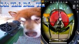 Thú Cưng TV | Dương KC Pets | Ngáo Husky Troll Bố #21 | chó thông minh vui nhộn | funny cute dog