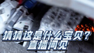 好东西，直播间见#胶佬 #高达模型 #高达GK