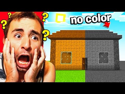 Slowly Removing all COLORS from his Minecraft House..
