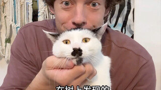 我在中国养的猫