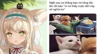 Ảnh chế MEME hài hước #217 ( có nhiều link hay)