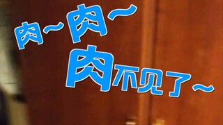 哎？肉，肉不见了！