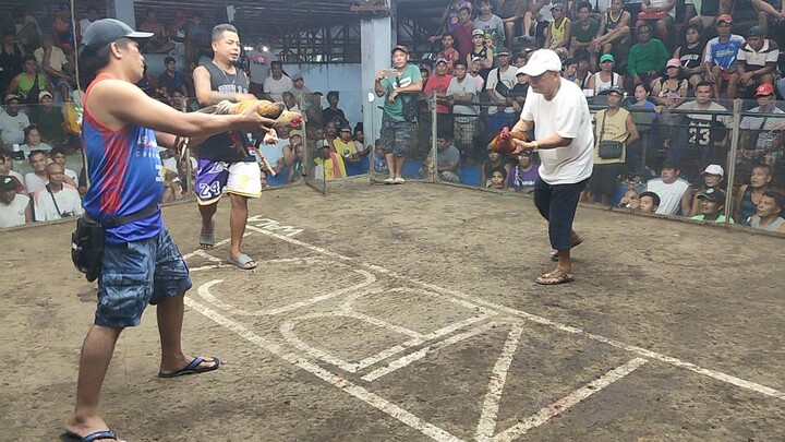 Lose. DomeHybreed🤗