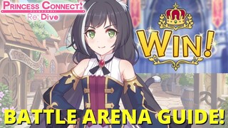 FAST TOP 500 ARENA RANK GUIDE!! GLOBAL PVP/ARENA TEAM BUILDS & GUIDE!!! (Princess Connect! Re:Dive)