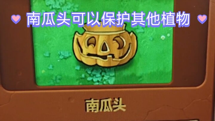 Pumpkin heads can protect other plants