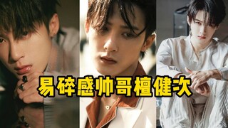 الشاب الجميل ذو المظهر الهش، تان جيان تسي