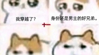 二十一张梗图•究极猫龙参上