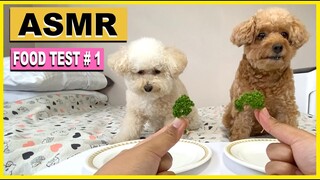 ASMR Dogs Eating- Toy Poodles Review Different Kinds of Food | The Poodle Mom