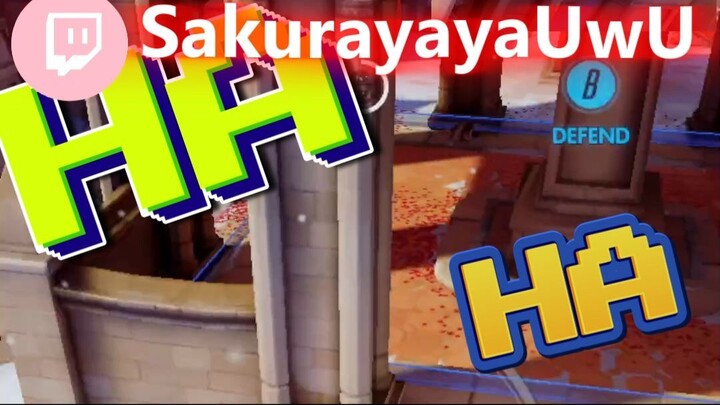 🌸Trying to make some #Overwatch 💖 videos aswell I hope you enjoy them! :3 🐰💗