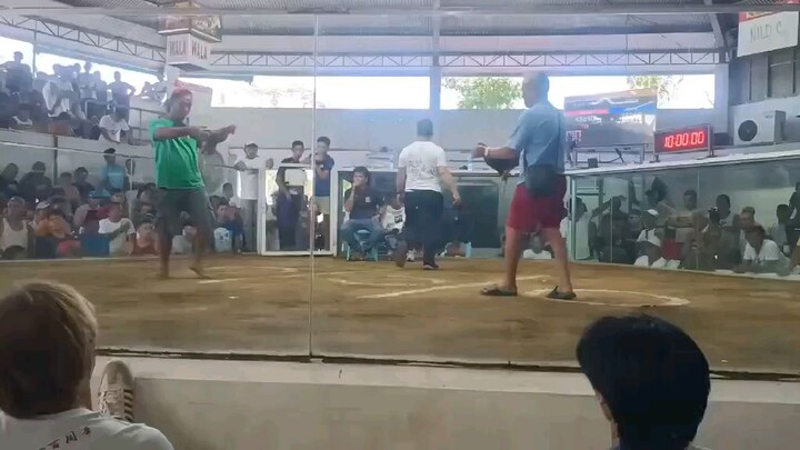 10 mos old ulikba 2 hits winner