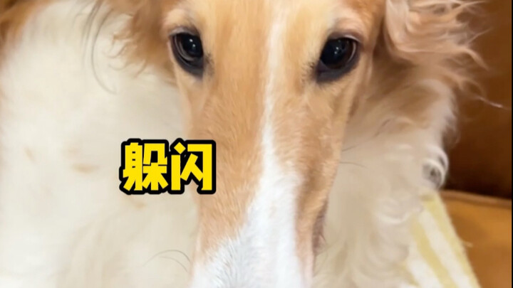 ป้องกันเท่าไร ก็สู้ขโมยในบ้านไม่ได้!
