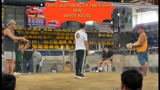 3 HITS ULUTAN NCCA 2ND FIGHT WIN WHITE KELSO