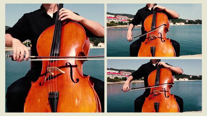 Cover ca khúc "Memory" với đàn cello