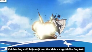Nguồn Gốc Xuất Thân Của Zoro_ - Mối Liên Hệ Với Monkey D. Dragon p6