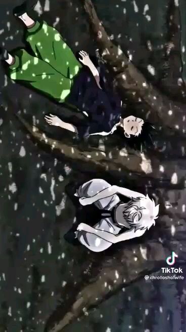 you and me always together <3 (killua and gon hxh)