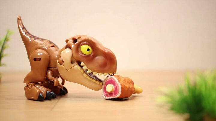 Stop Motion Animation】 Tyrannosaurus Rex dan Model Plastik Kerangka Dinosaurus