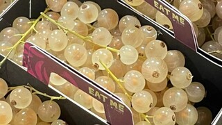 Ini pertama kalinya aku melihat buah berhiaskan permata seperti itu...