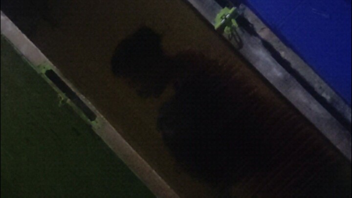 Kakak ipar yang slalu ku tunggu