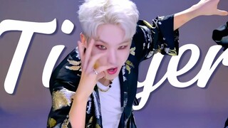【4K Bilingual】Tiger · HOSHI Dance Version - 'The Last Tiger of South Korea, tearing and chewing, fli