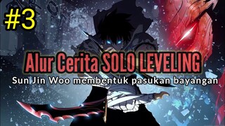 Alur Cerita Jinwoo Solo leveling Bagian 3